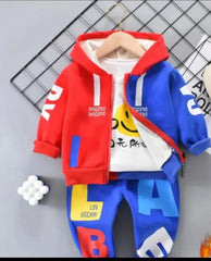 Multi Hoodie Set (3pcs)